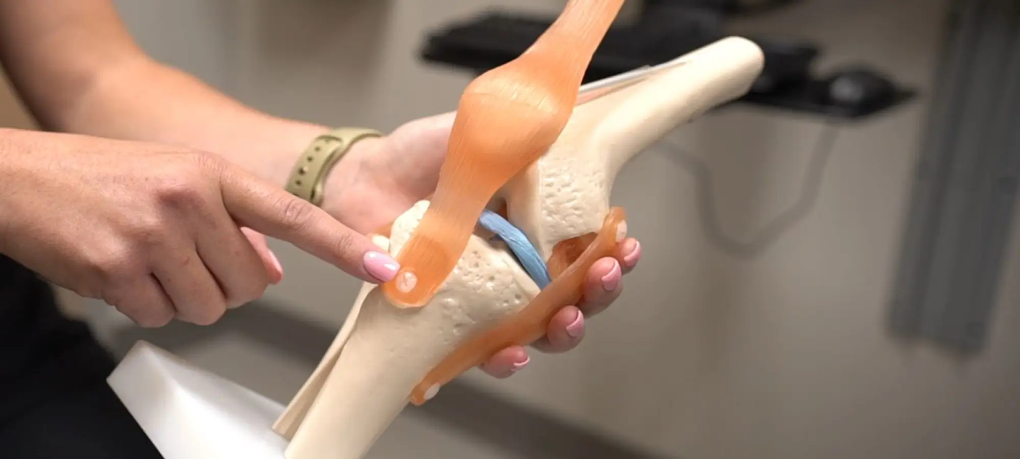 man pointing a knee model